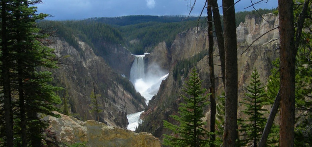 Montana (8)